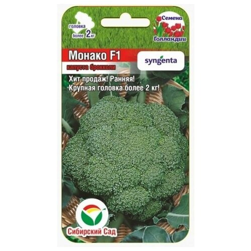 ������ ������ �������� ������ F1 10�� ������� (��� ���) ����