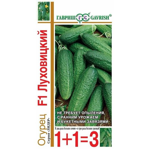 ������ ������ ������ ������ 