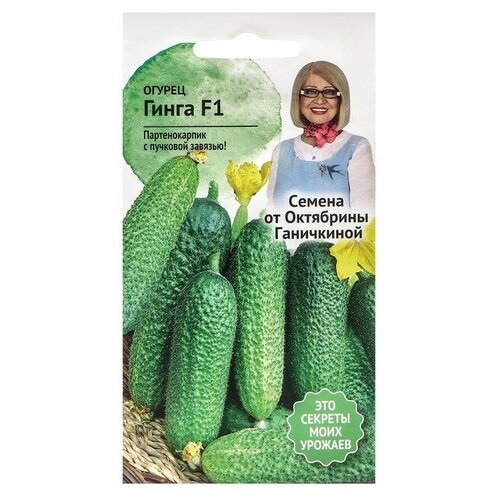 ������ ������ ������ ����� F1 10 � ����