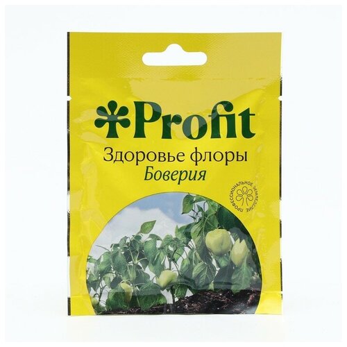 ������ ������ �������� ������ �������� �� ���������� �������, �������+, 30 �� ����