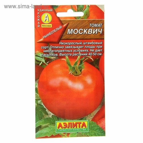 ������ ������ ������ ����� ������� 20�� ��� ������ (������) ����