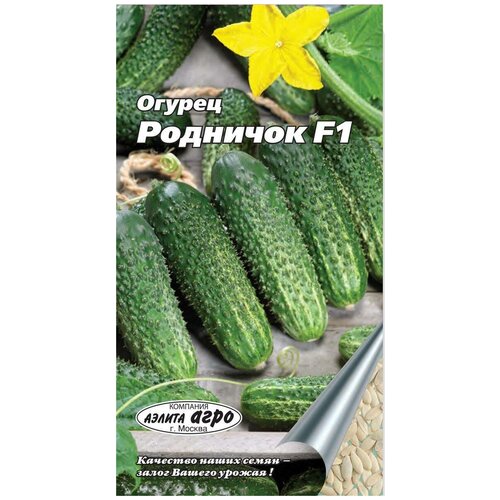 ������ ������ ������ �������� F1 (0,3 �), 2 ������ ����