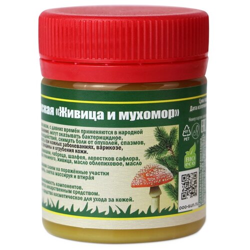 ������ ������ ���� ������ ������������ ������ � �������, 55 �, 40 �� ����