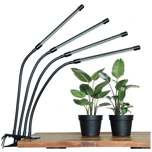 ������ ������ ���� ����� ��� �������� 4 ����������� / ����� ��� ��������, ��� ������ / ���������� / ��������� / �������������� / ���������� ����� �������� ���� ����