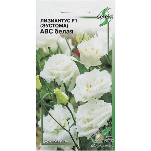 ������ ������ ��������� F1 (�������) ��� �����, 5 ����� ����