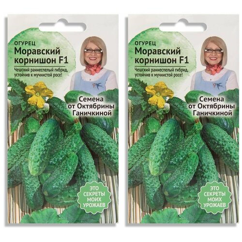 ������ ������ ����� ����� ������ ��������� �������� 0.3 � - 2 ��. ����