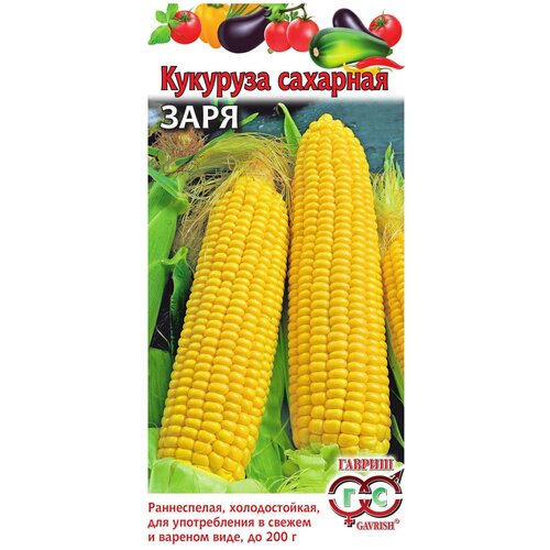 ������ ������ �������� �������� ����, ������ ������ ( 1 ��: 5 � ) ����