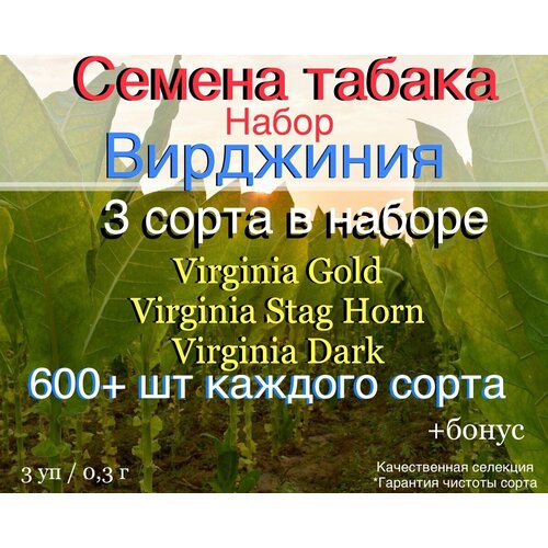 ������ ������ ������ ������ ����� 