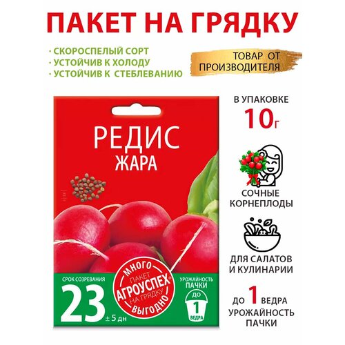 ������ ������ ������ ������ ���� 10� ����