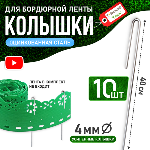 ������ ������ ����� ������� ��� ��������� ���� 40�� - 10 ���� ����