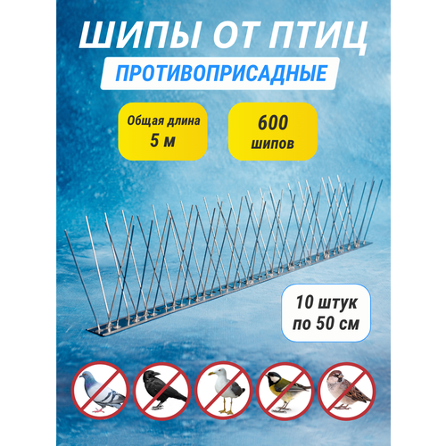 ������ ������ ���� ���������������� �� ���� 10 ���� �� 50 �� ����