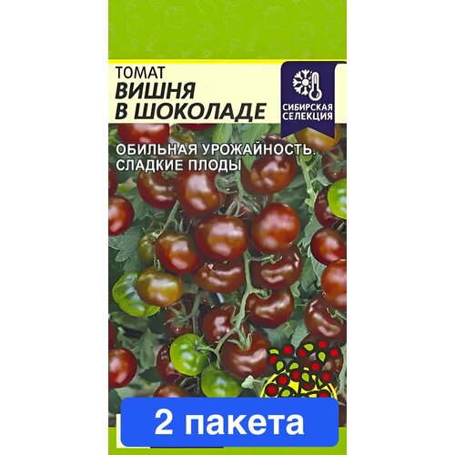 ������ ������ ������ ������ ������ ����� 