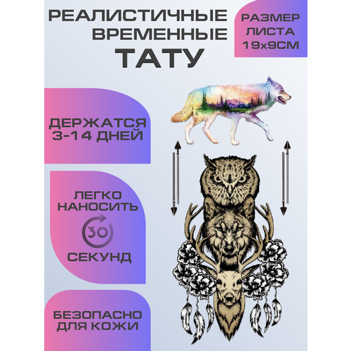 ������ ������ ���� ���������� �������������� ���� ����