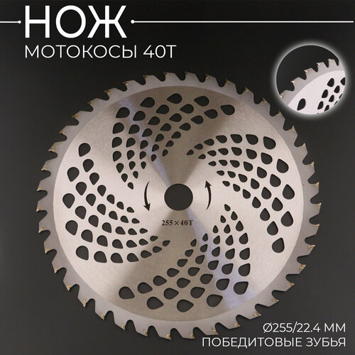 ������ ������ ��� �������� 40T (D-255/22.4 mm) (����������� �����) ����