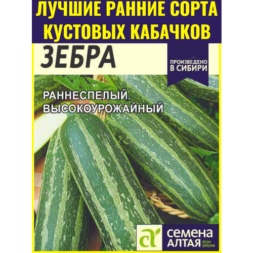 ������ ������ ������ ������ ����������� ����� - 2 �. �������� ���� ����������� �������� ��� ��������� ������ ����