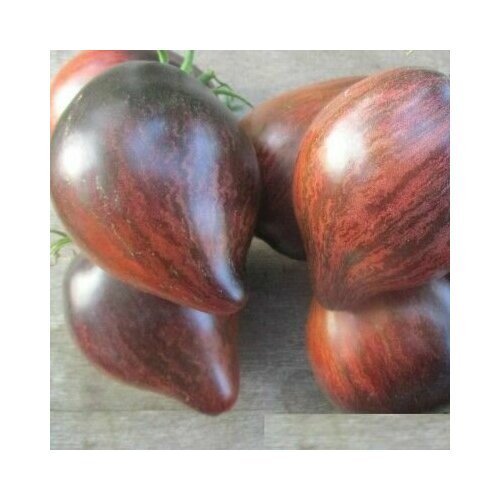 ������ ������ ������������� ������ ������ �������� ������� ����������� - ���� ����