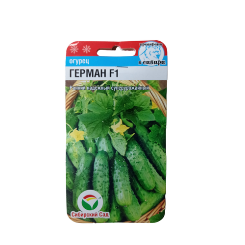 ������ ������ ������ ������ ��������� ��� ����