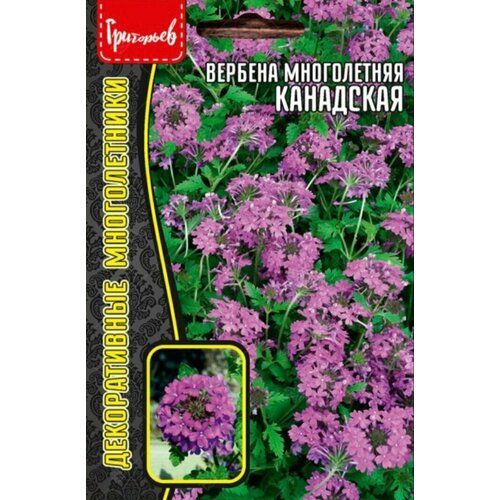 ������ ������ ������ ������� ����������� ��������� (0,05�) ����