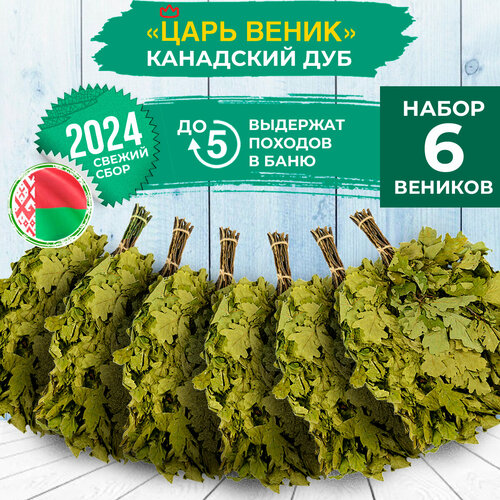 ������ ������ ����� ��� ���� ������� ����� 6 �� ����