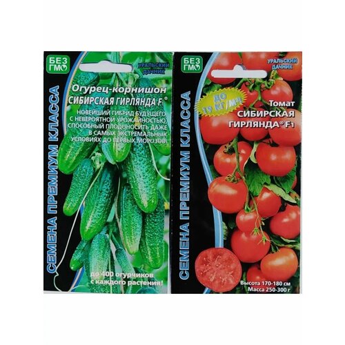 ������ ������ ����� � ������: ��������� �������� ����