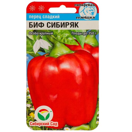 ������ ������ ������ ����� '���-�������', 15 �� ����