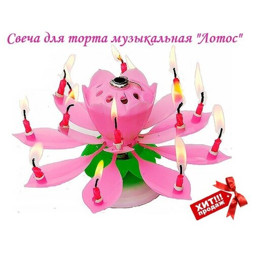 ������ ������ ����� ��� ����� ����������� 