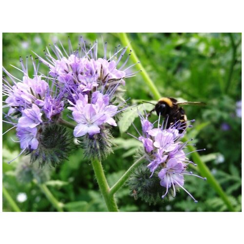 ������ ������ ������ ������� ������������ ������� ������� 0,5 �� ������ �������� ����