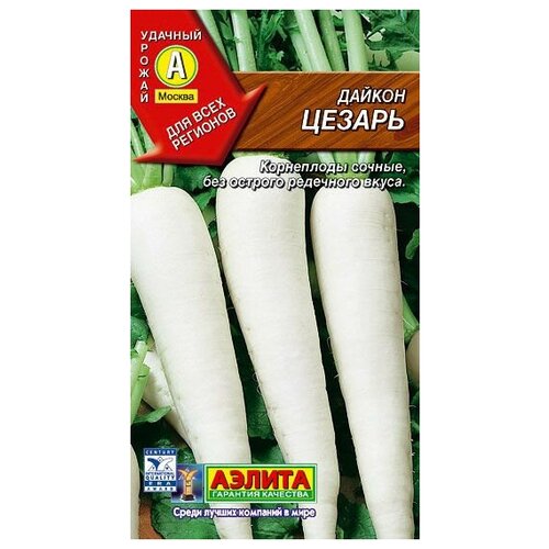 ������ ������ ������ ������ 1�� ������ ����