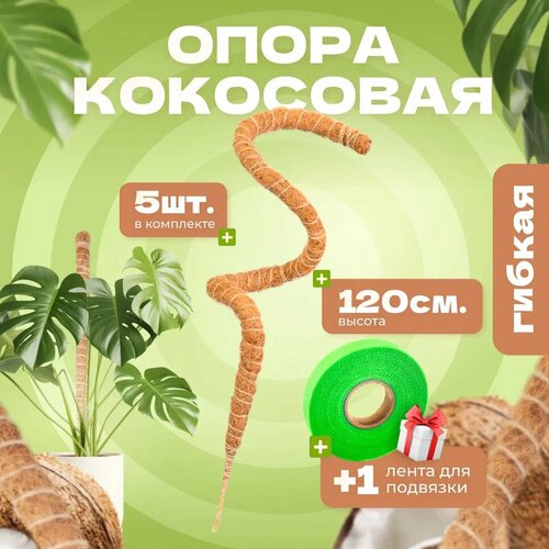 ������ ������ ��������� ����� ��� �������� ������, 120��, 5�� ����