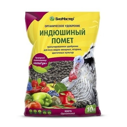 ������ ������ ��������� ����� ��������������� 10� ����