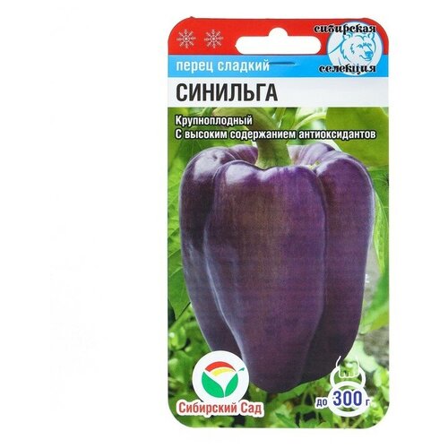 ������ ������ �������� 15�� ����� (��� ���) ����