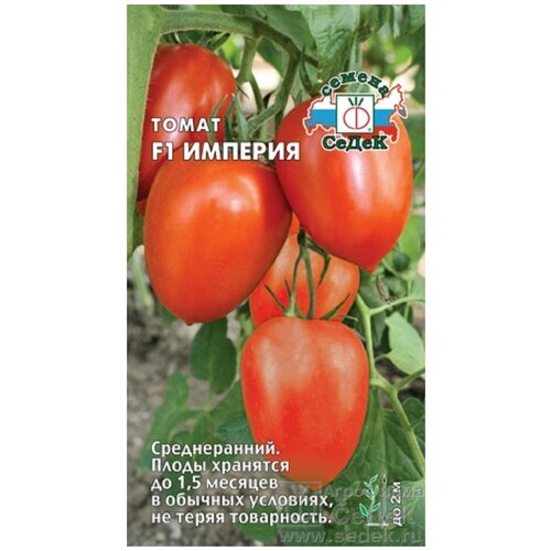 ������ ������ ������ ����� 