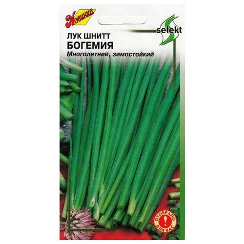 ������ ������ ��� ����� �������, 230 ����� ����