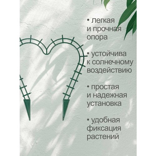 ������ ������ ��������� (�����) ��� ��������� �������� 