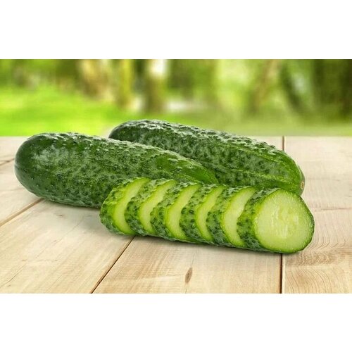 ������ ������ ������������� ������ ������ ����� F1 ����