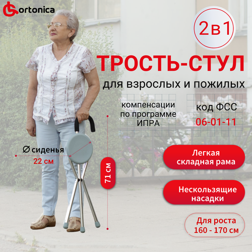 ������ ������ ������ ����������� � �������� Ortonica �� 601 �� 100 �� ����