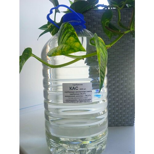 ������ ������ ��������� ��� 32 (��������� ��������� �����) �������� 32 % �����. ����