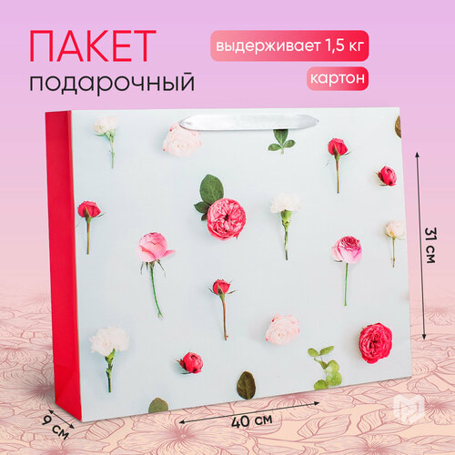 ������ ������ ����� ���������� �������������� ��� ���������, 40 � 31 � 9 �� ����