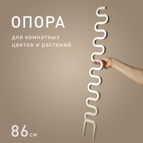 ������ ������ ����� ��� �������� �������� 