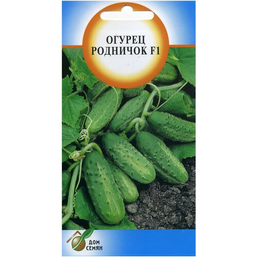 ������ ������ ������ �������� F1, 10 ����� ����