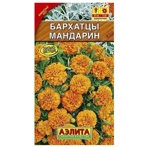 ������ ������ ������. �������� ����������� 