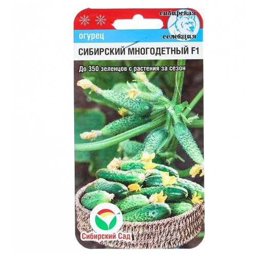 ������ ������ ������ ������ 