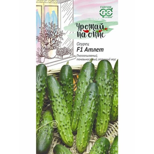 ������ ������ ������ ������ ������ �� ���� ������ ����� F1 10 ��, 3 ��. ����