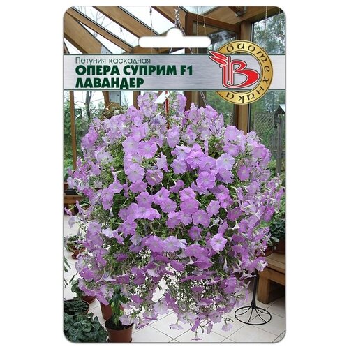 ������ ������ ������ ������� ��������� 