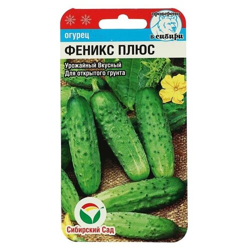 ������ ������ ������ ������ 