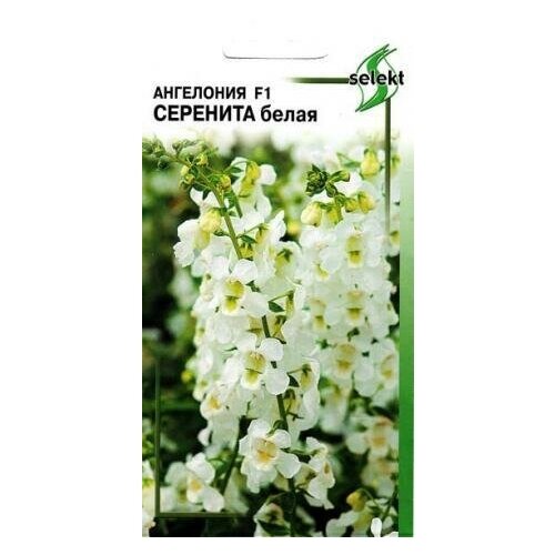 ������ ������ ��������� F1 ��������, ����� , 3 ����� ����