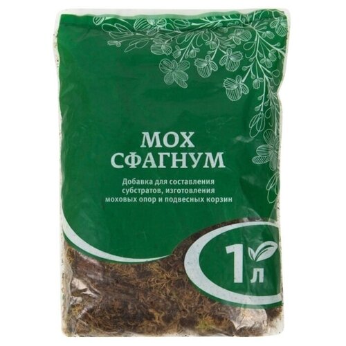 ������ ������ ��� ������� 1 � ����