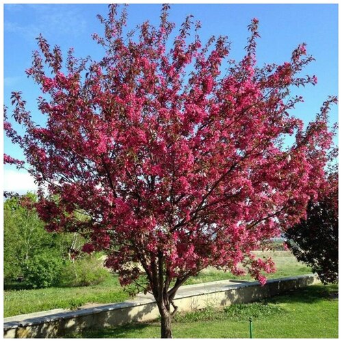 ������ ������ ������ ������ ������ ����������� 15 ��. ����