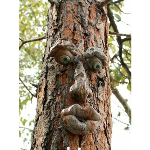 ������ ������ ���� �������� �� ������ ����