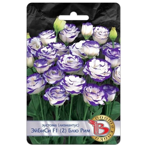 ������ ������ ������ ������� 